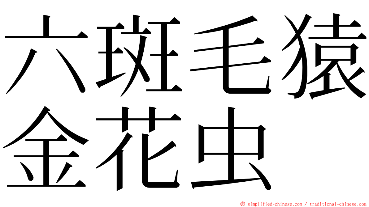 六斑毛猿金花虫 ming font