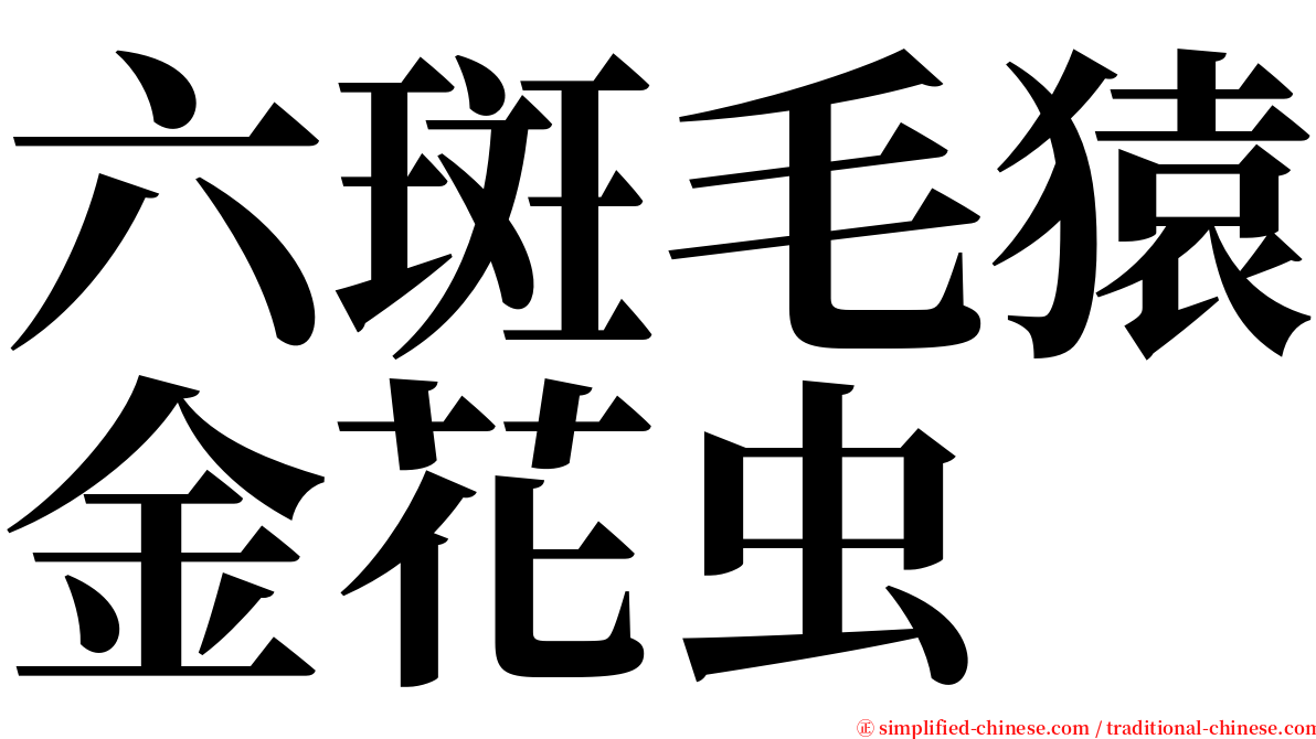 六斑毛猿金花虫 serif font