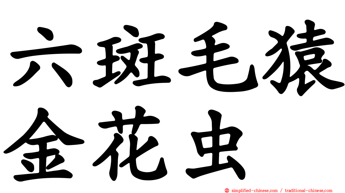 六斑毛猿金花虫