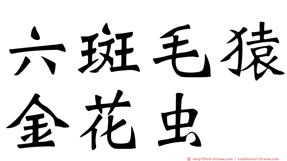 六斑毛猿金花虫