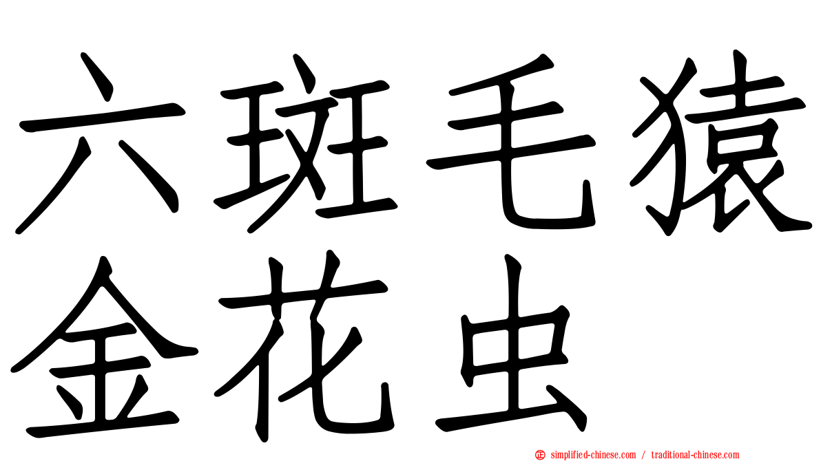 六斑毛猿金花虫