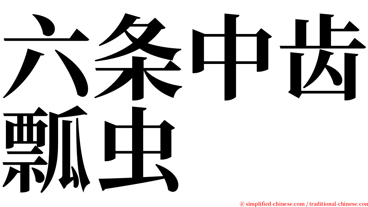 六条中齿瓢虫 serif font