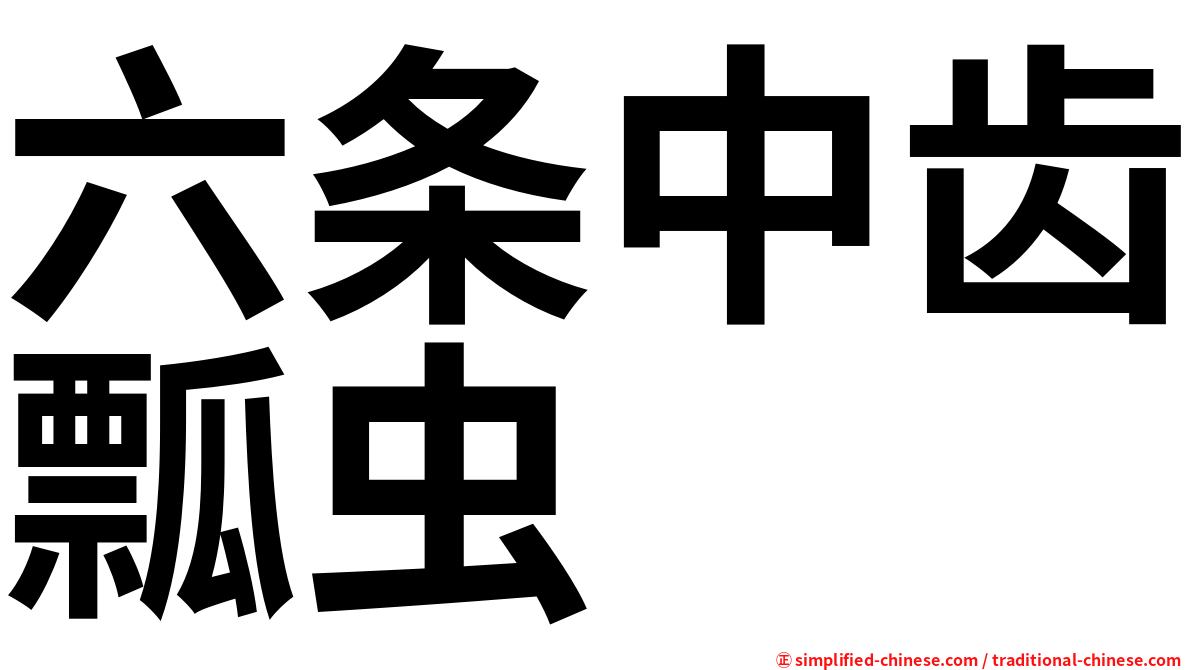 六条中齿瓢虫