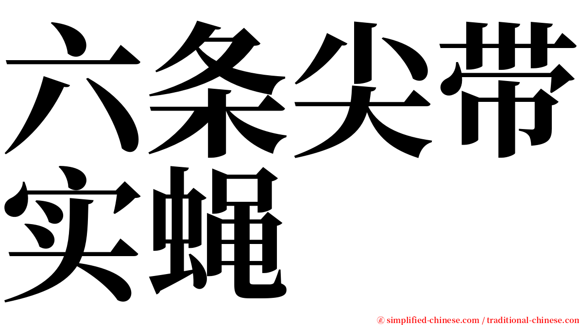 六条尖带实蝇 serif font
