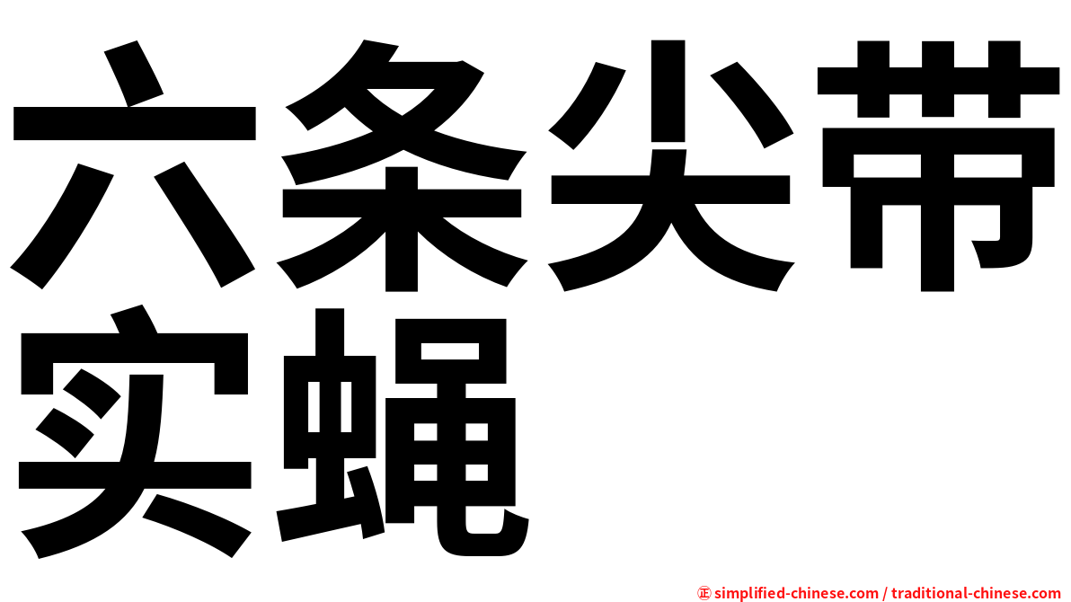 六条尖带实蝇
