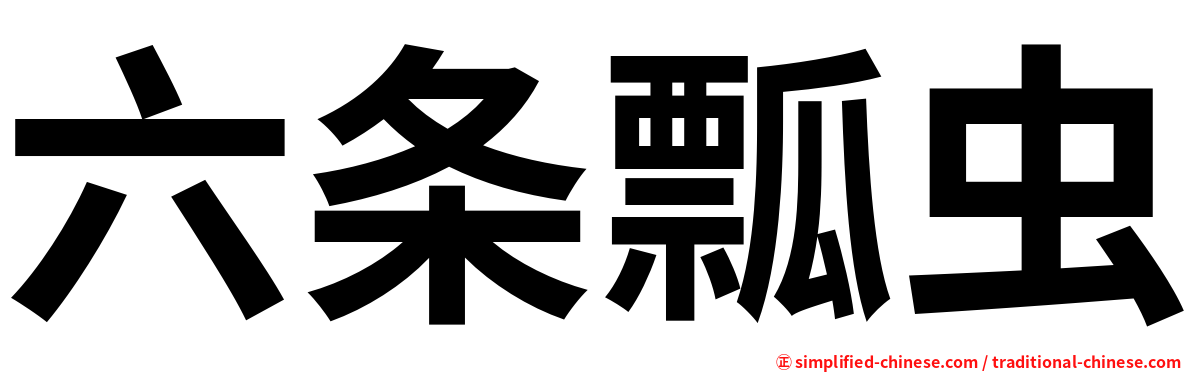 六条瓢虫