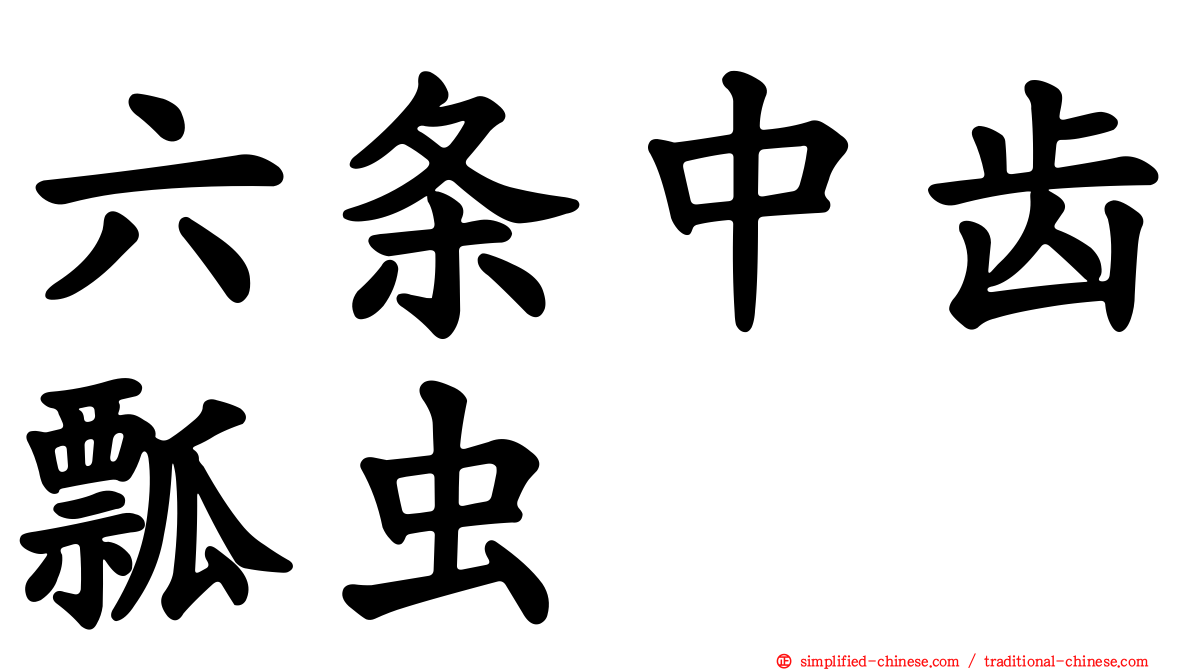 六条中齿瓢虫