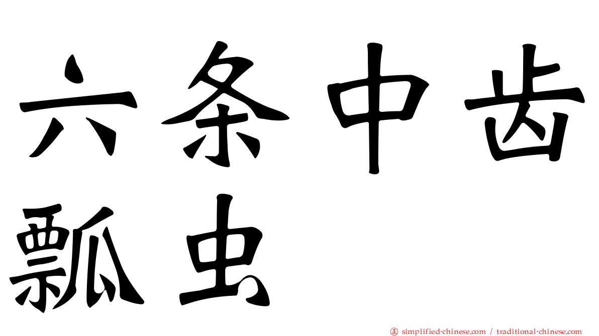 六条中齿瓢虫