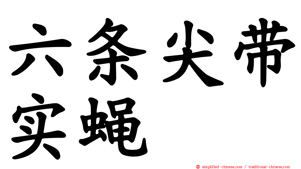 六条尖带实蝇