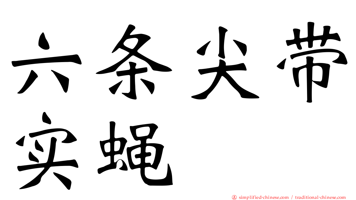 六条尖带实蝇