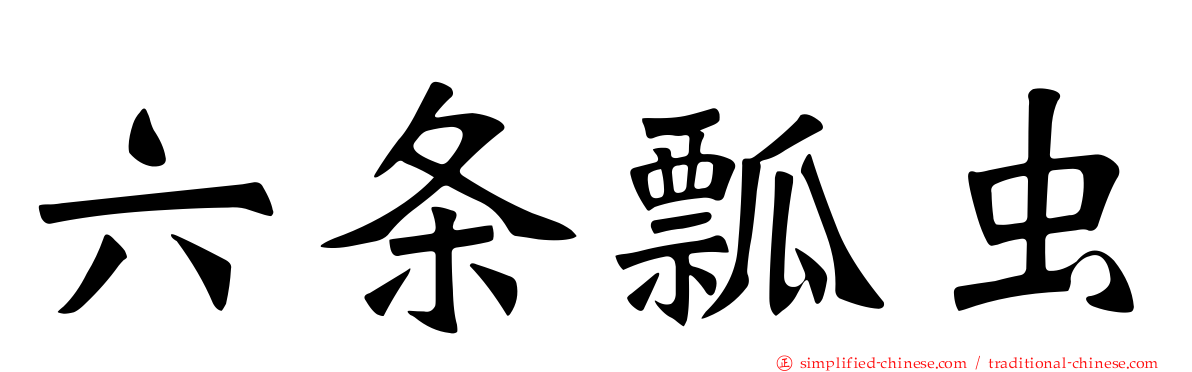 六条瓢虫