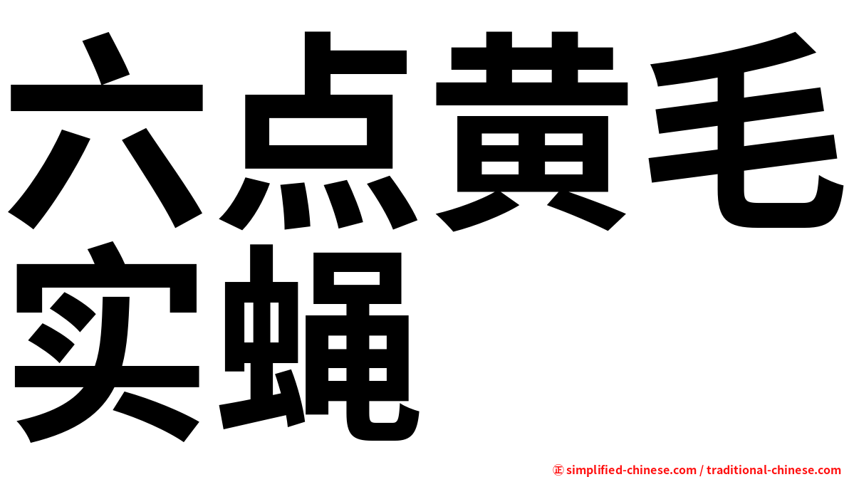六点黄毛实蝇
