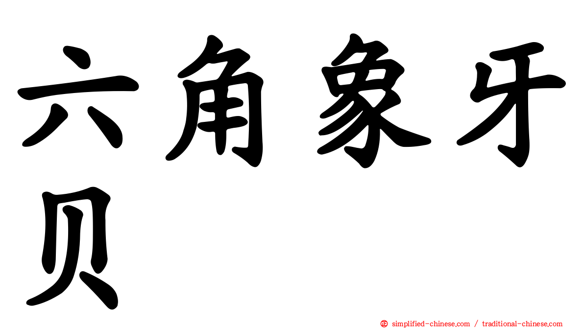 六角象牙贝