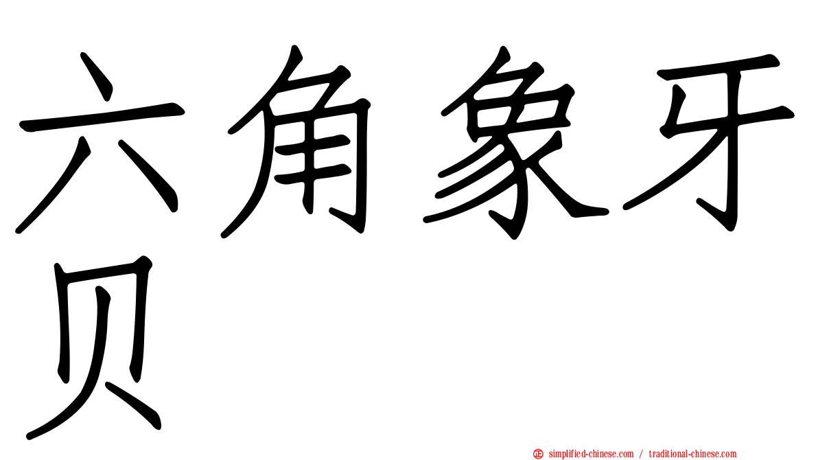 六角象牙贝