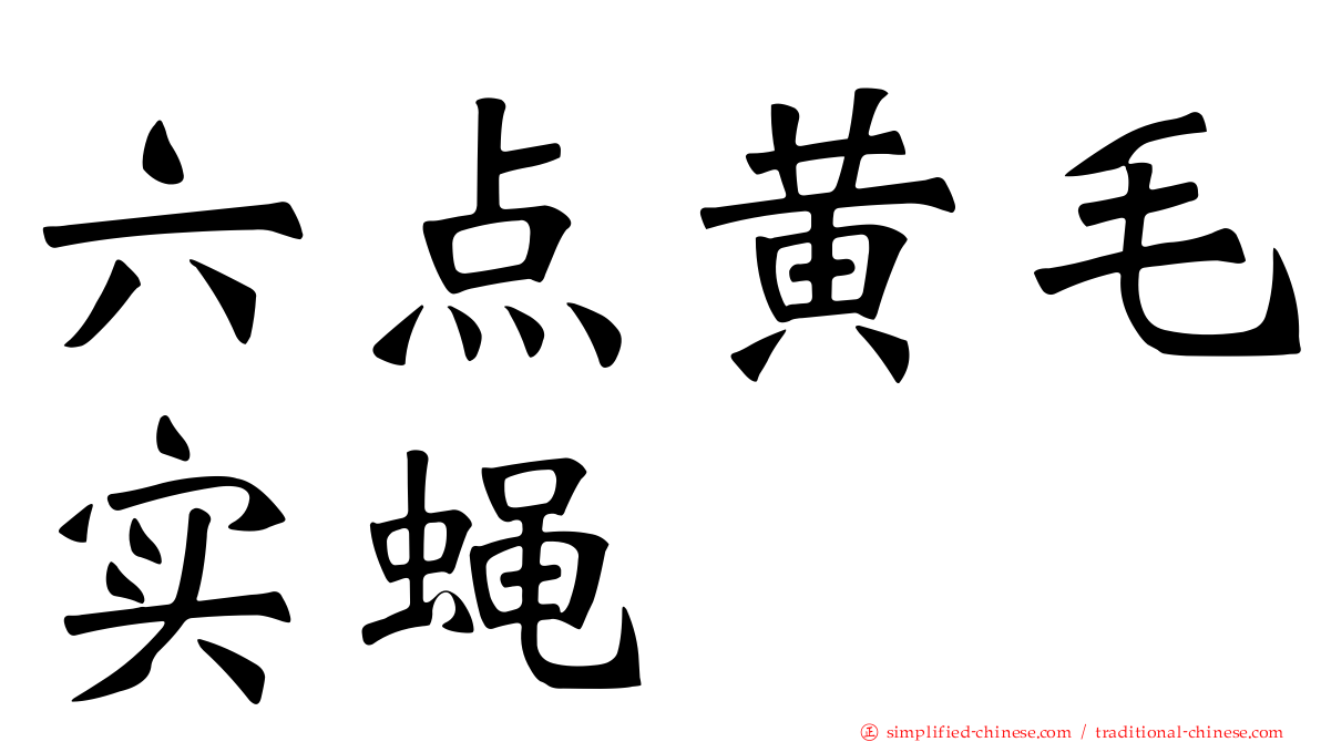 六点黄毛实蝇