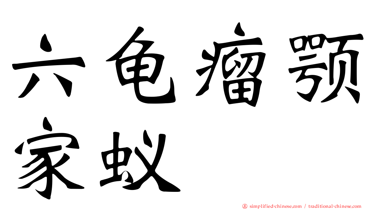 六龟瘤颚家蚁