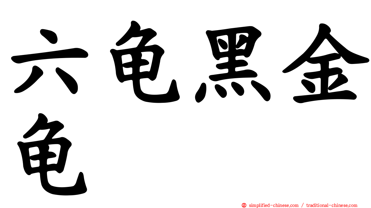 六龟黑金龟