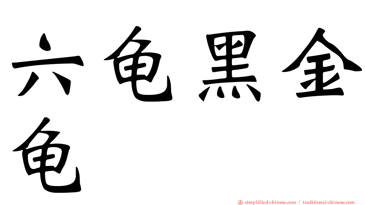 六龟黑金龟
