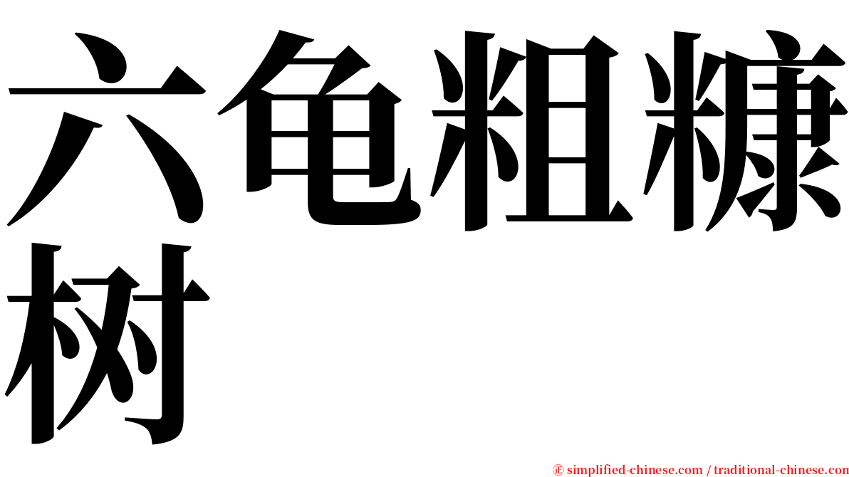 六龟粗糠树 serif font