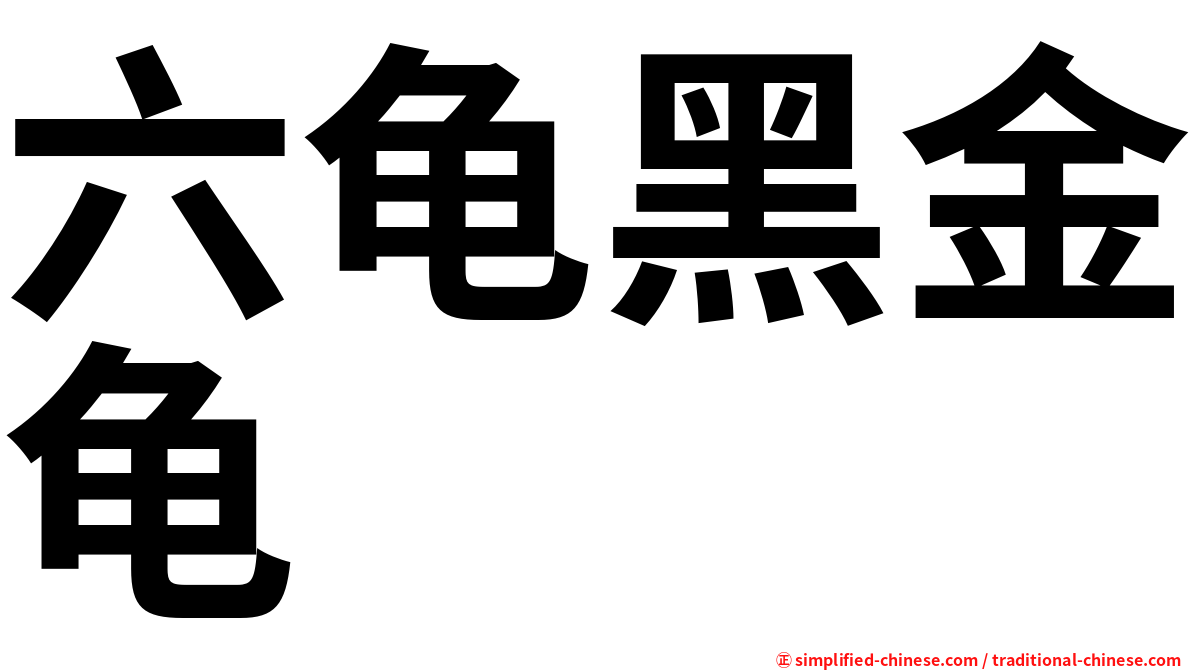 六龟黑金龟