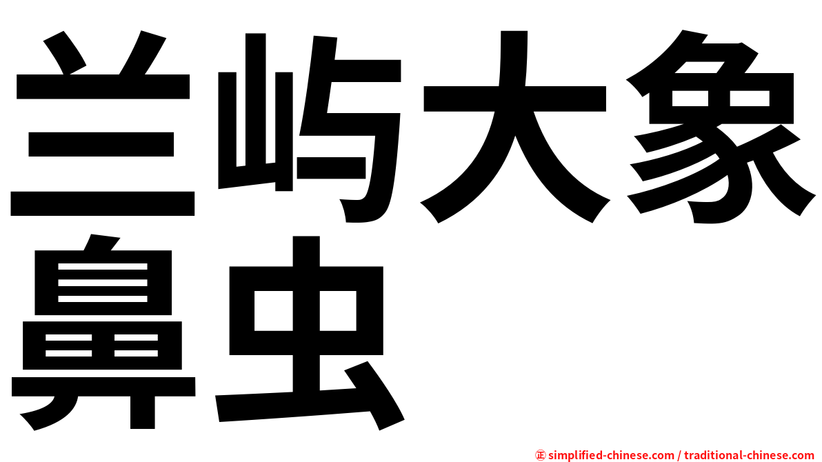 兰屿大象鼻虫