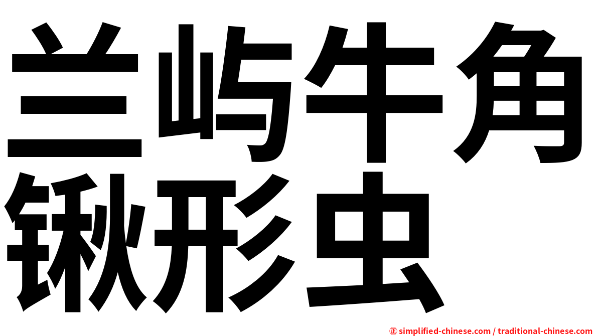 兰屿牛角锹形虫
