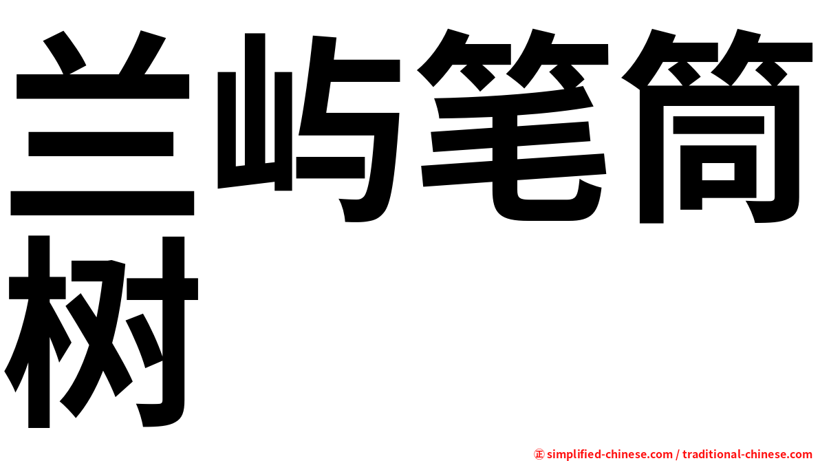 兰屿笔筒树