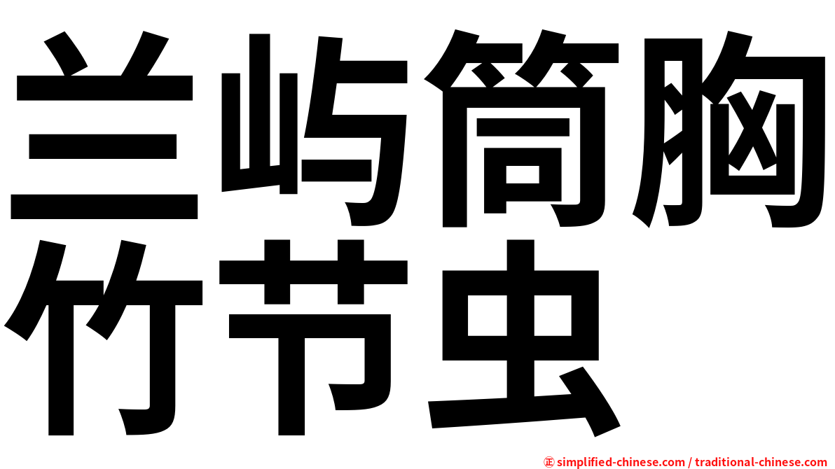 兰屿筒胸竹节虫