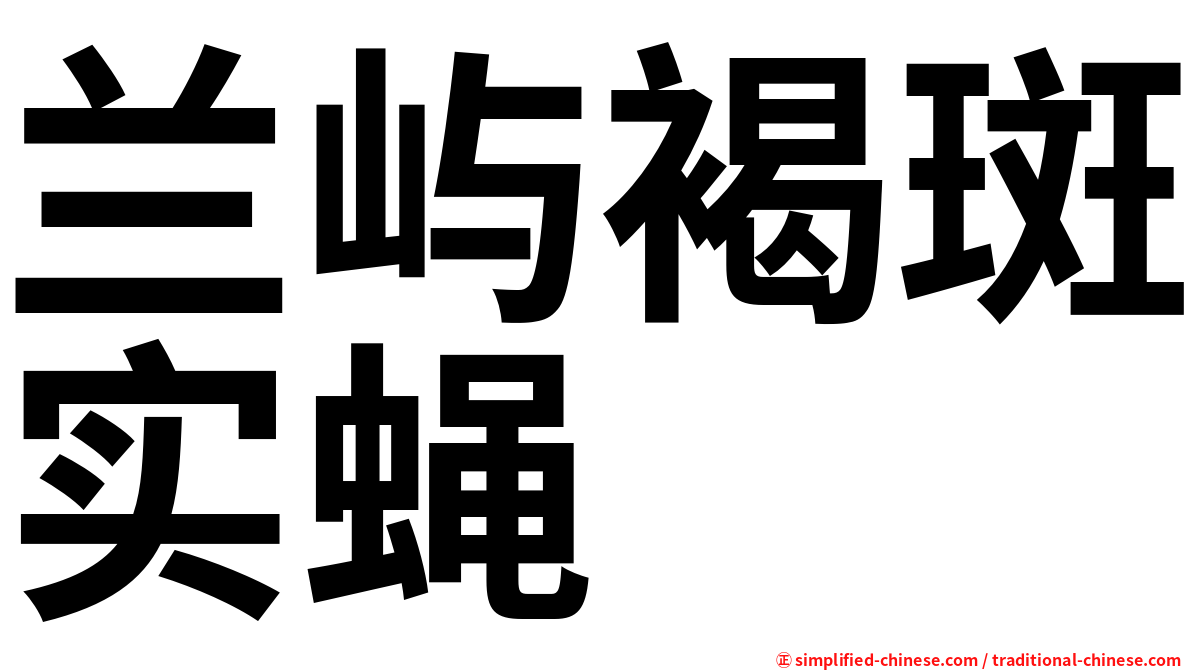 兰屿褐斑实蝇