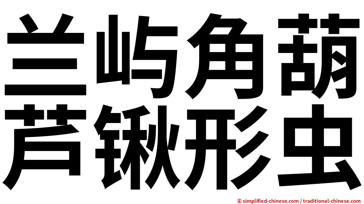 兰屿角葫芦锹形虫