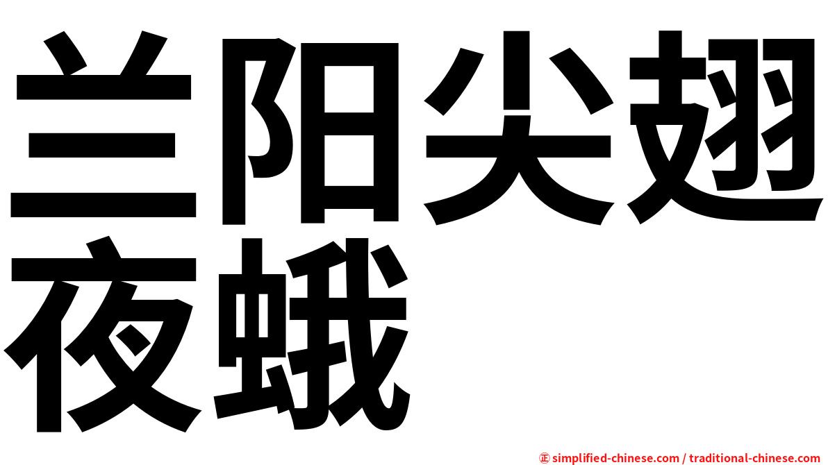 兰阳尖翅夜蛾