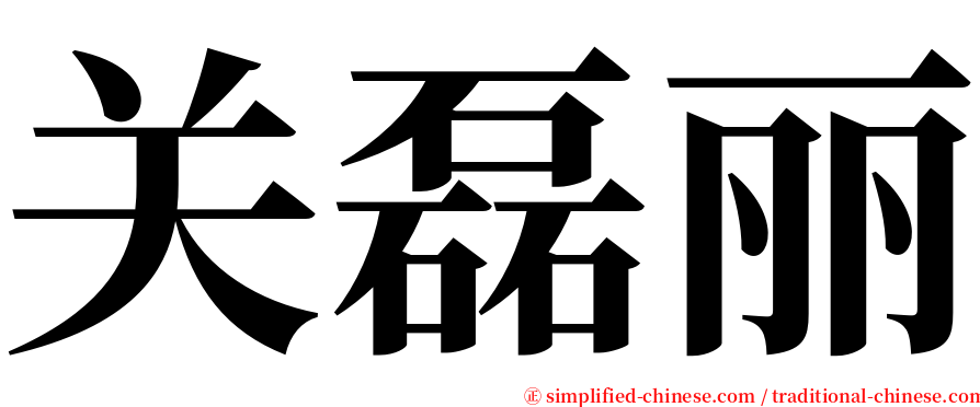 关磊丽 serif font