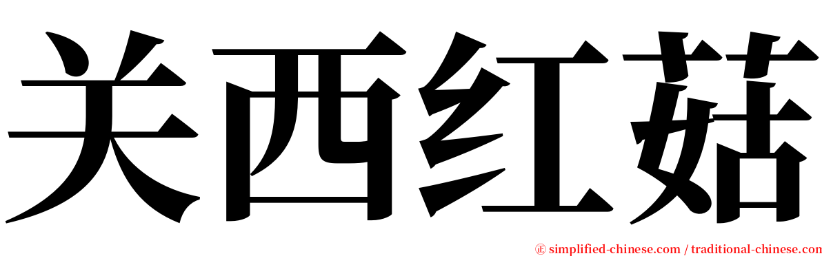 关西红菇 serif font