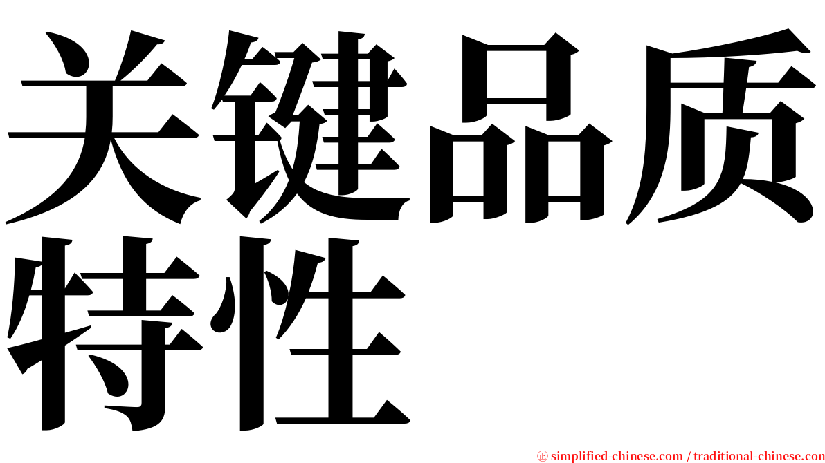 关键品质特性 serif font