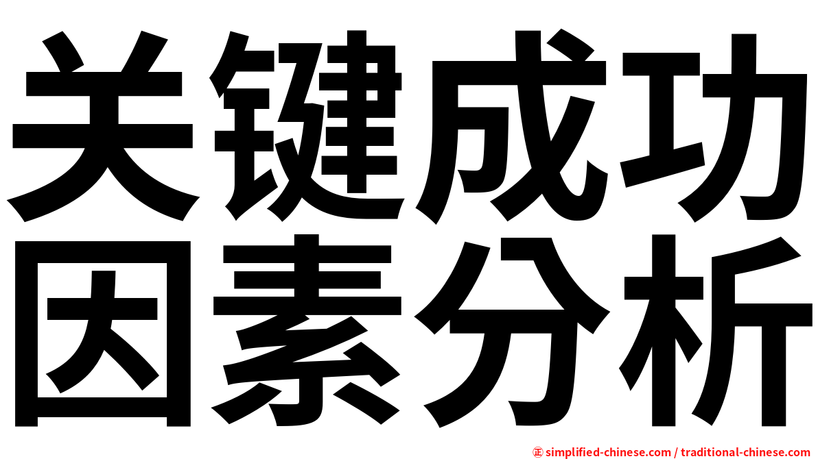 关键成功因素分析