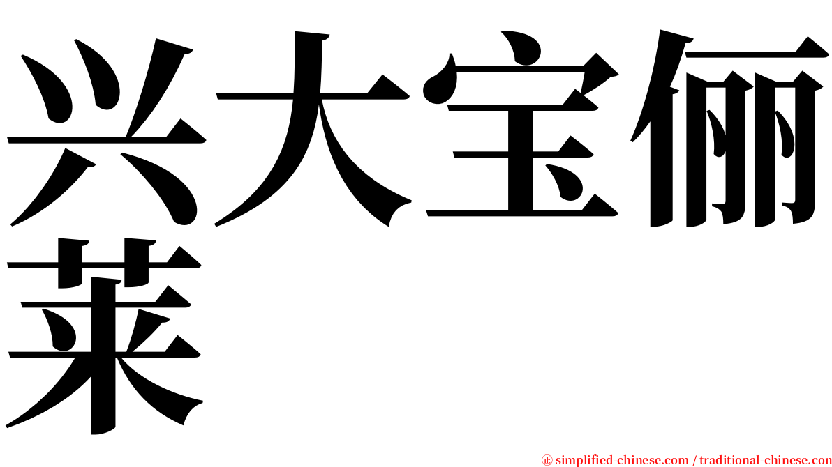 兴大宝俪莱 serif font