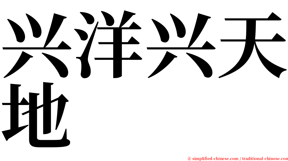 兴洋兴天地 serif font