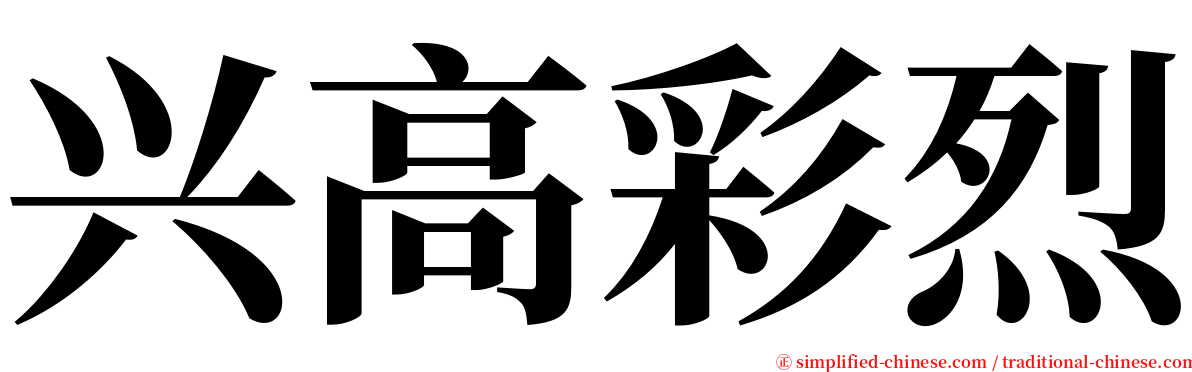 兴高彩烈 serif font