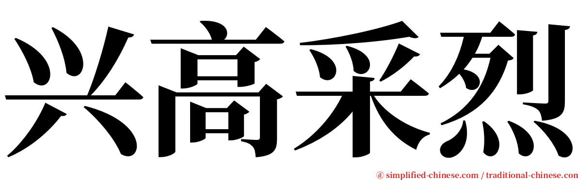 兴高采烈 serif font