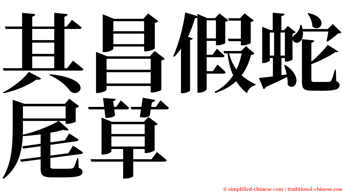 其昌假蛇尾草 serif font