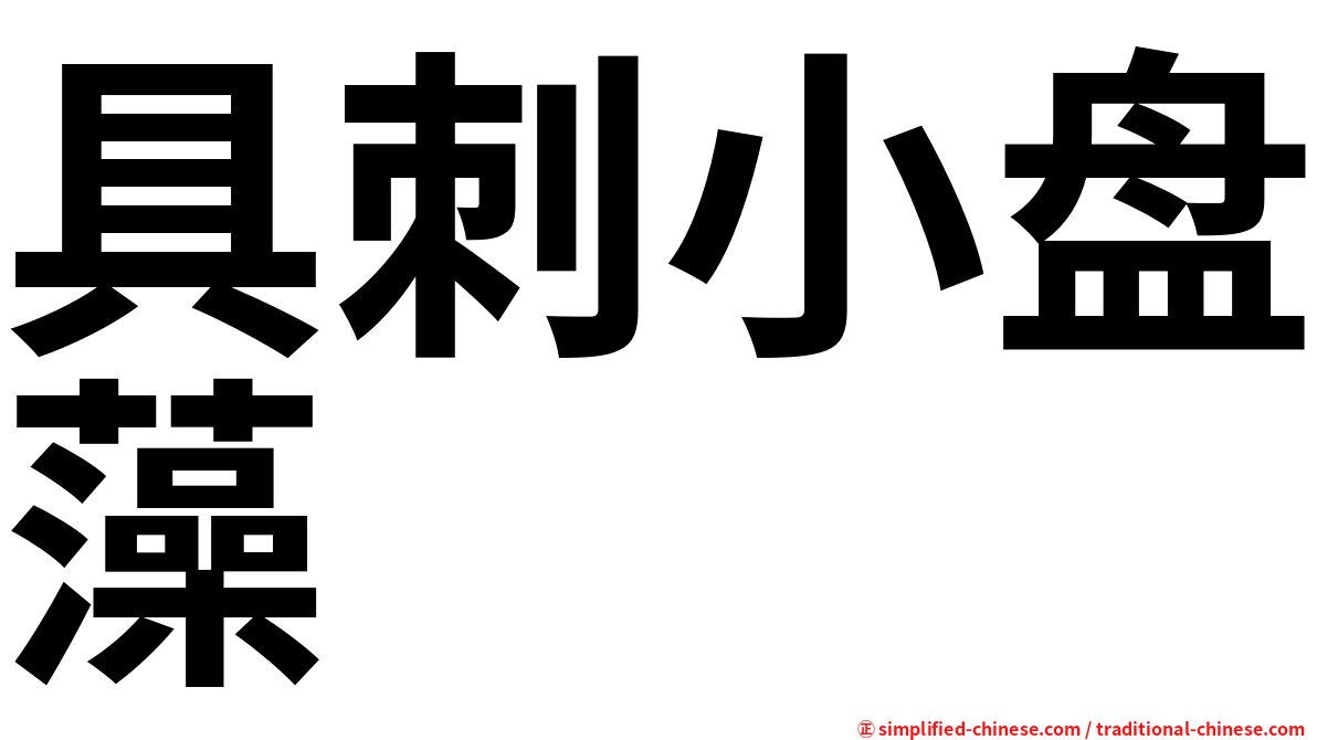 具刺小盘藻