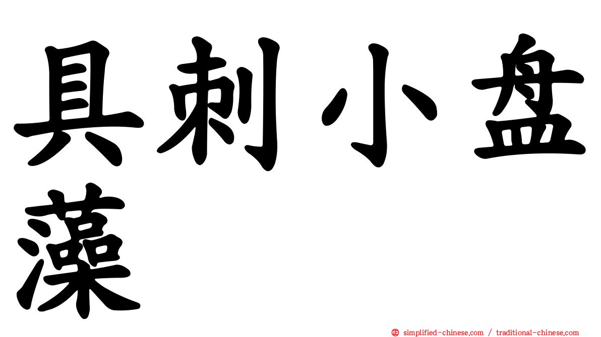 具刺小盘藻