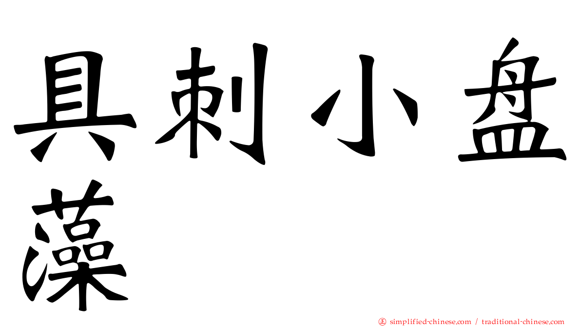具刺小盘藻
