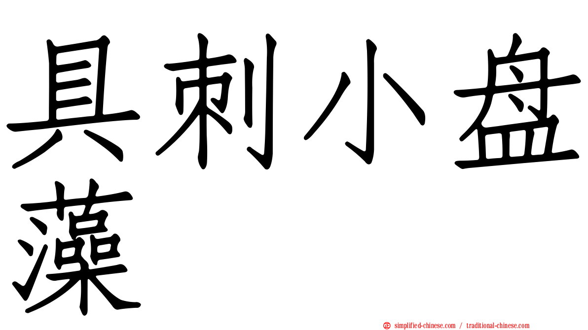 具刺小盘藻