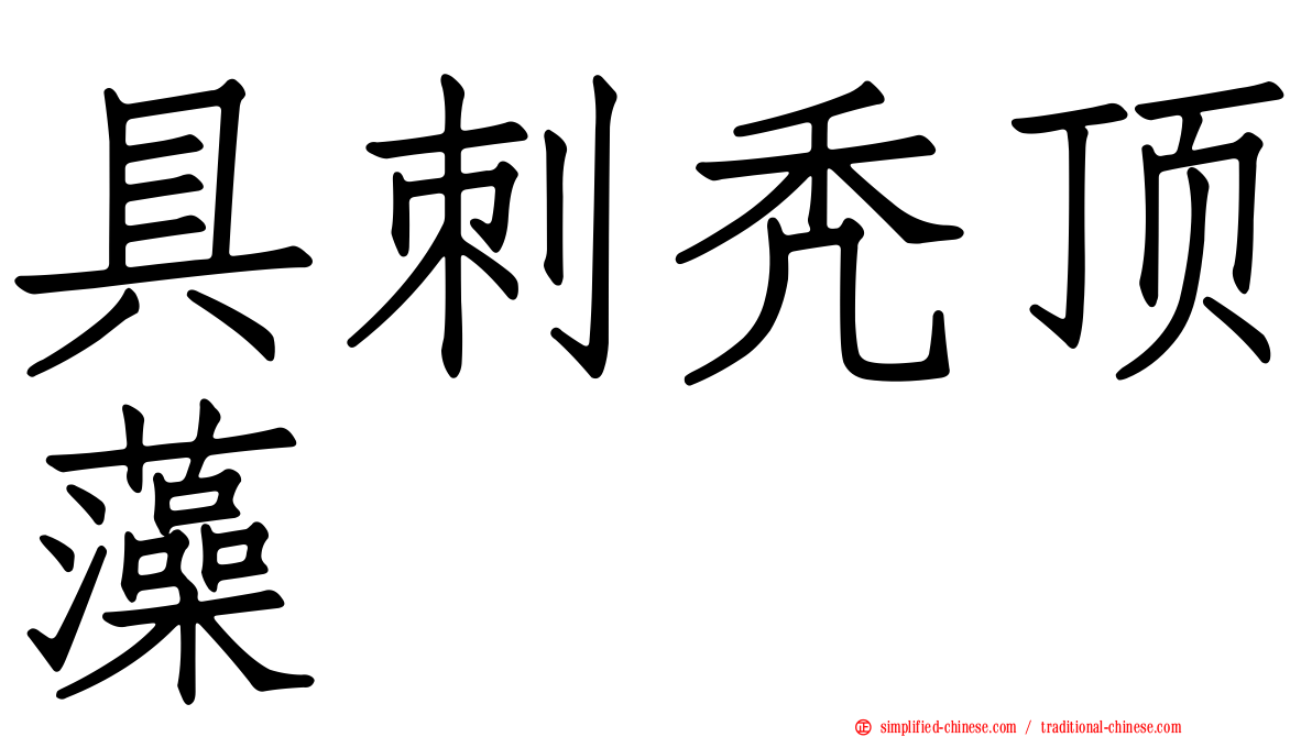 具刺秃顶藻