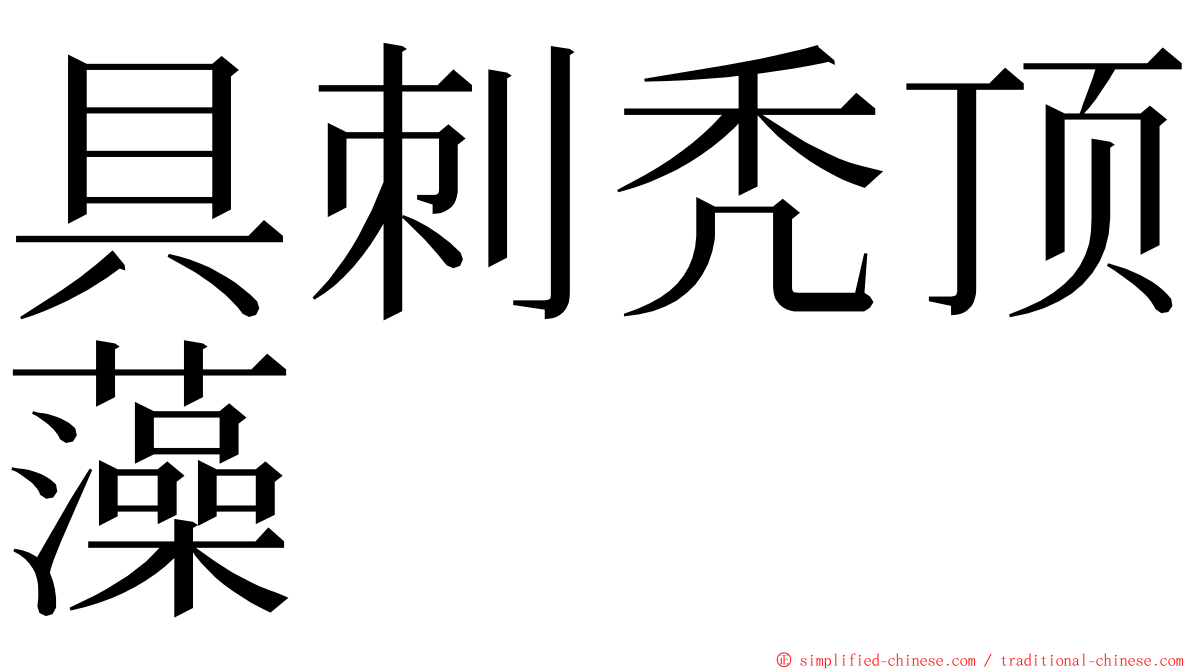 具刺秃顶藻 ming font