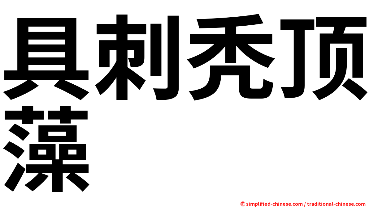 具刺秃顶藻