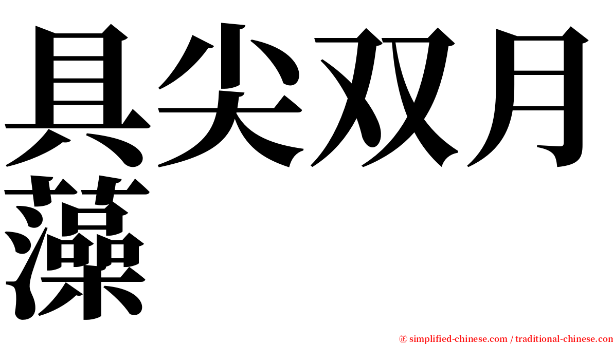 具尖双月藻 serif font
