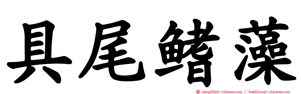 具尾鳍藻