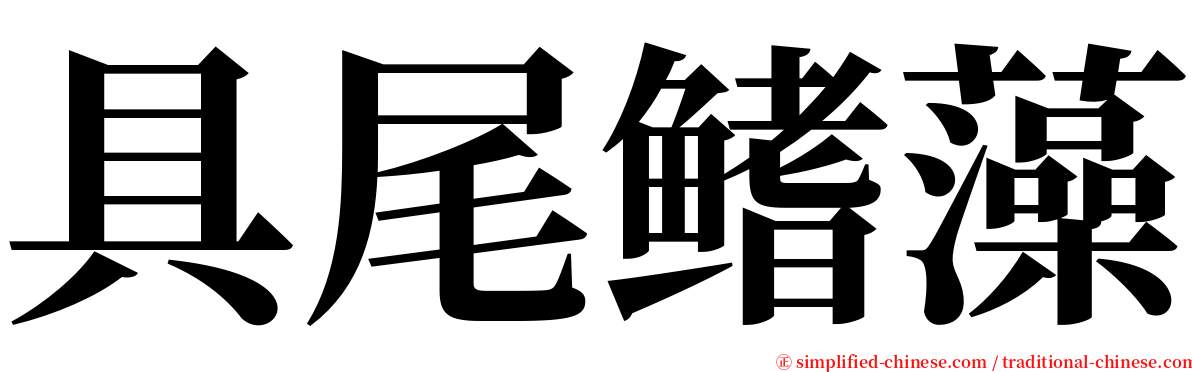 具尾鳍藻 serif font